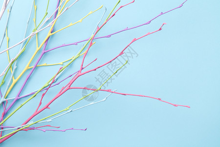 分支粉彩新鲜的弹簧东方糊面背景带有多彩twigs复制空间顶视图图片
