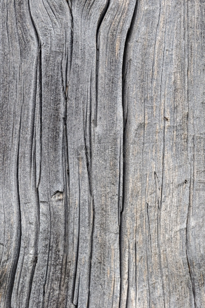 日志崎岖旧干燥裂开的灰色木板近缝纹理头图片