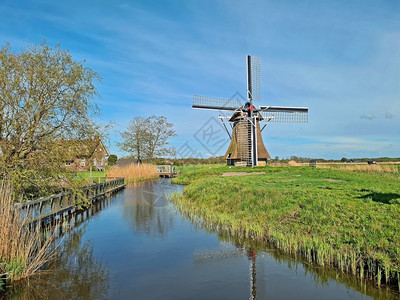 荷兰农村的Oodker风车来自荷兰语弗里斯磨图片
