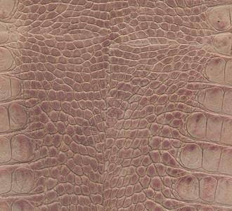 蜥蜴皮革粉红色和棕鳄鱼皮质材料图片