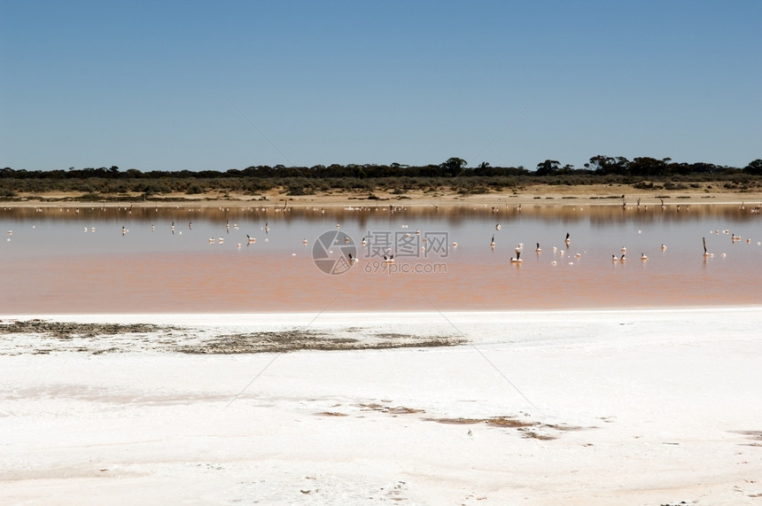 气候更热盐湖澳大利亚农村干旱的证据和燥图片
