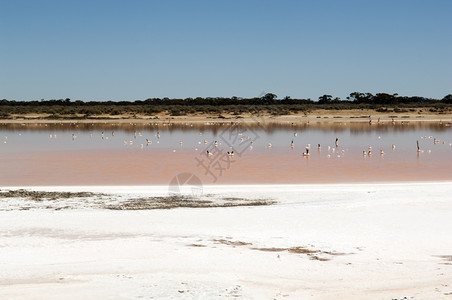 气候更热盐湖澳大利亚农村干旱的证据和燥图片