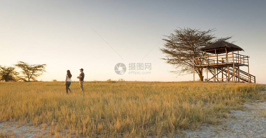 女士假期乐趣在博茨瓦纳非洲MakgadidkkadadiPans的游乐园中一对年轻夫妇站在长草地上观日落图片