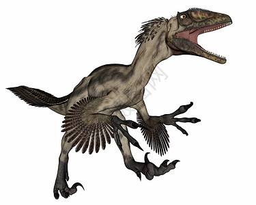 草食恐龙野生动物使成为古艺术Deinocheirus恐龙在白色背景中被孤立地咆哮3D化为Deinocheirus恐龙3D化为背景