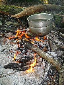 在篝火上煮茶的水熬森林旅游图片