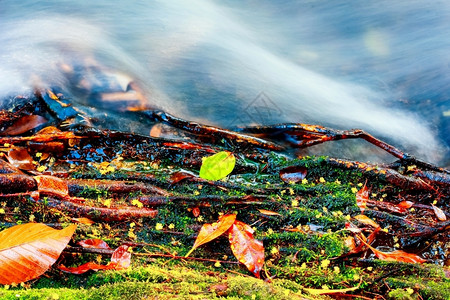 模糊落下彩色的叶子沉落在覆盖着岩石的苔上四周流淌着水瀑布苔藓图片