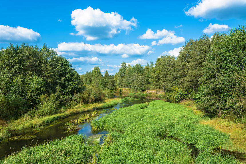 美丽的夏日风景有一条小河和积云与蓝色的天空相对植物一种反射图片