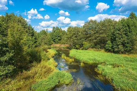 自然反射美丽的夏日风景有一条小河和积云与蓝色的天空相对环境图片