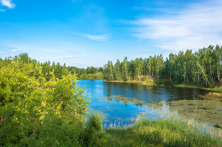 蓝色的美丽风景与一个小湖在阳光明媚的夏日俄罗斯白色的草图片
