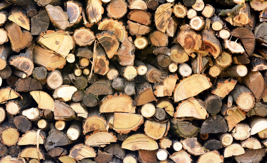 堆放在木屋里的柴火森林木材业图片