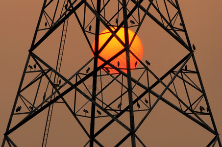 电压极的日落光影大太阳和电极的力量缆图片