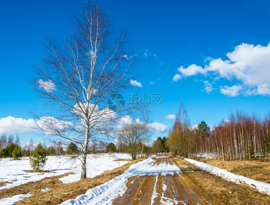 一小群观光客在春天上阳光日的泥土路美丽一种天空图片