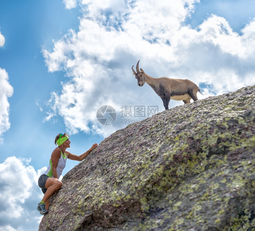 女登山者在岩石上遇到山羊运动绳索极端图片