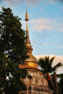 天树泰国北清迈省详细分类图6场景图片