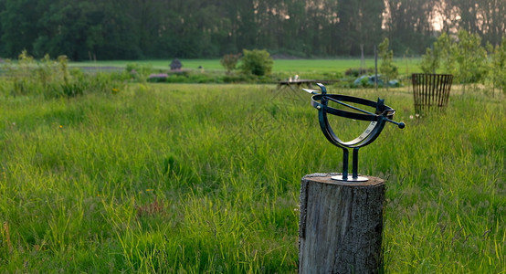 景观夏天在荷兰草地的日度环境优质图片