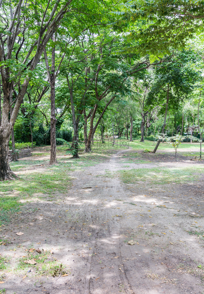 大型植物园的小泥土足迹污垢地场图片