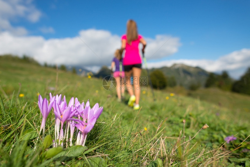 夏天旅行粉红山花女孩在草原上奔跑家庭图片