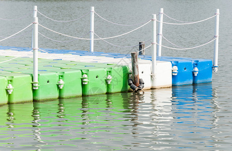丰富多彩的有橡胶表面多彩浮游在宁静湖上塑料户外图片