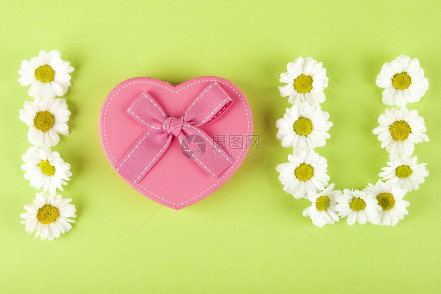 雏菊丝带粉红礼物盒白仙子写我爱着你的绿色背景心图片