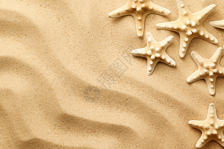 沙滩上的海星背景图片