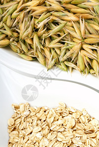 颜色有机的新鲜两类燕麦种子高清图片