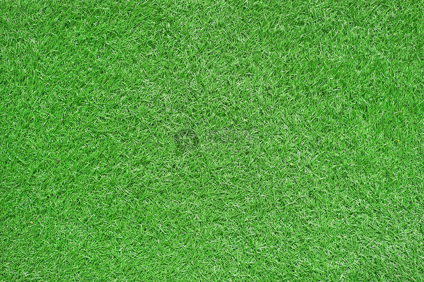 绿草作为背景或质地木制的墙纸树图片