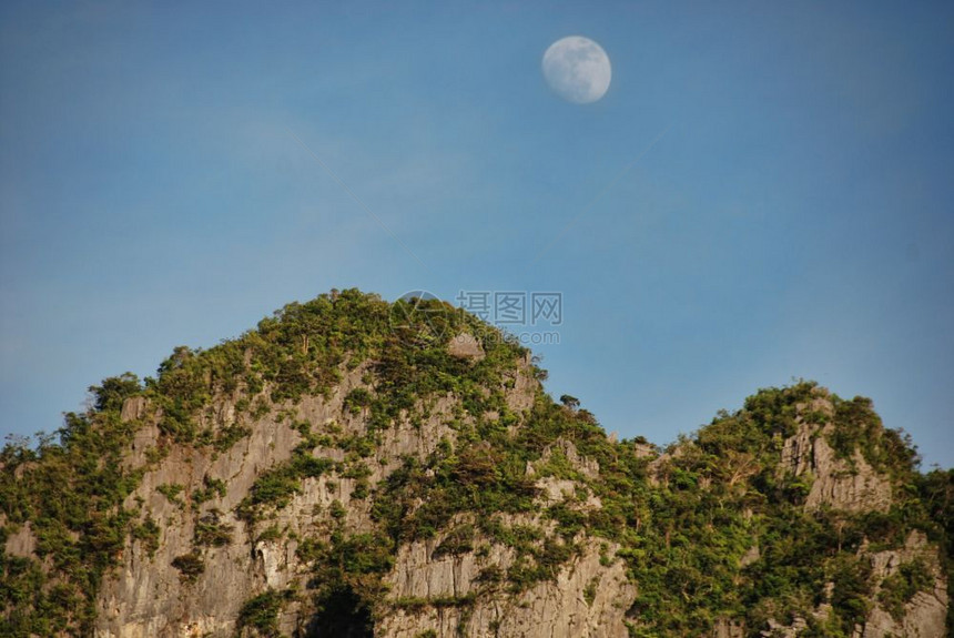 田园诗般的热带Phuket省泰国岛屿详情夏季公园图片