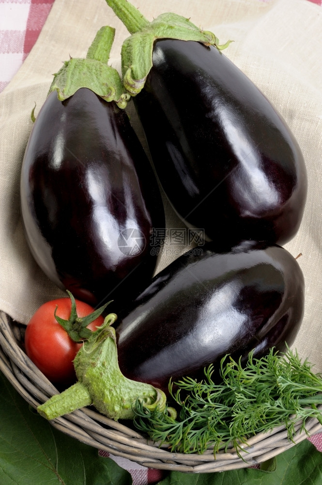 番茄篮子中黑色的收成食物图片