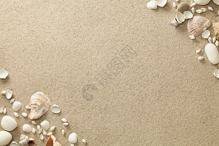 桑迪海滩背景及贝壳和石块复制空间桑迪海滩背景及壳和石块户外沙丘金的图片