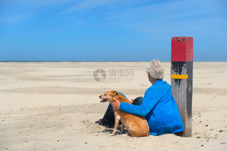 和狗坐在沙滩上的老人图片