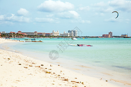 海滩在加勒比阿鲁巴岛的棕榈滩上Kite冲浪自然男图片