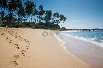 景观带有椰子树和金沙脚印的天堂海滩坦噶勒斯里兰卡南部省亚洲自然目的地图片