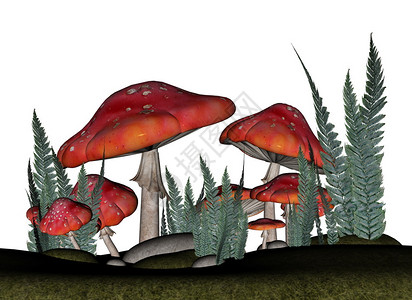 红沟菌有毒红藻类蘑菇和在白色背景中隔离的植物3D使红豆类蘑菇变成3D鹅膏菌插图设计图片