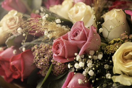新鲜的情人节粉红玫瑰的紧闭花束和树叶新鲜图片