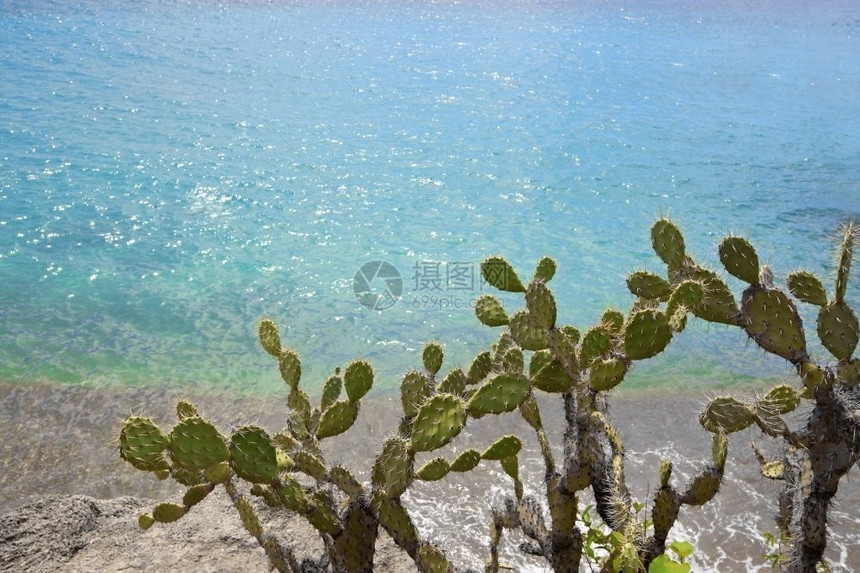 风景加勒比海蓝色的Caribbean岛的美丽景观Curacao土库伊松curacao图片