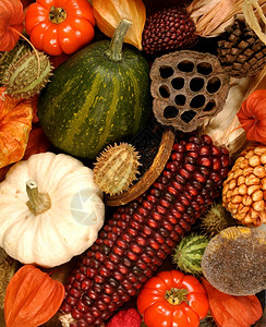 食物南瓜聚宝盆秋季节食品和装饰的背景图象图片