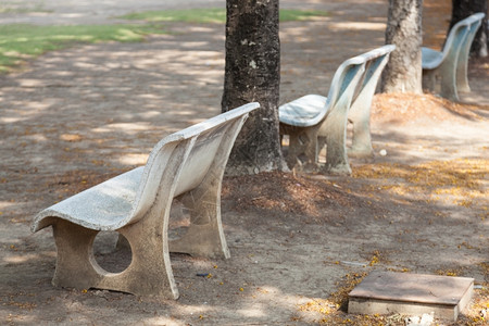 松弛一棵树下公园的座椅在面花园图片