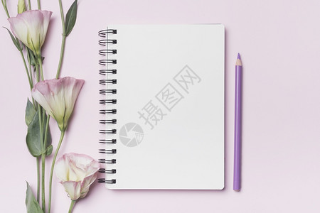 紫色的白螺旋笔记本粉红背景的紫铅笔和粉红色底复制浪漫的图片