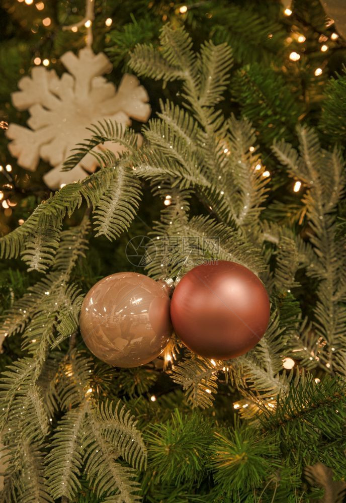 圣诞节树背景以圣诞绿色和橙红底带有装饰品的圣诞树上装饰品球云杉玩具图片