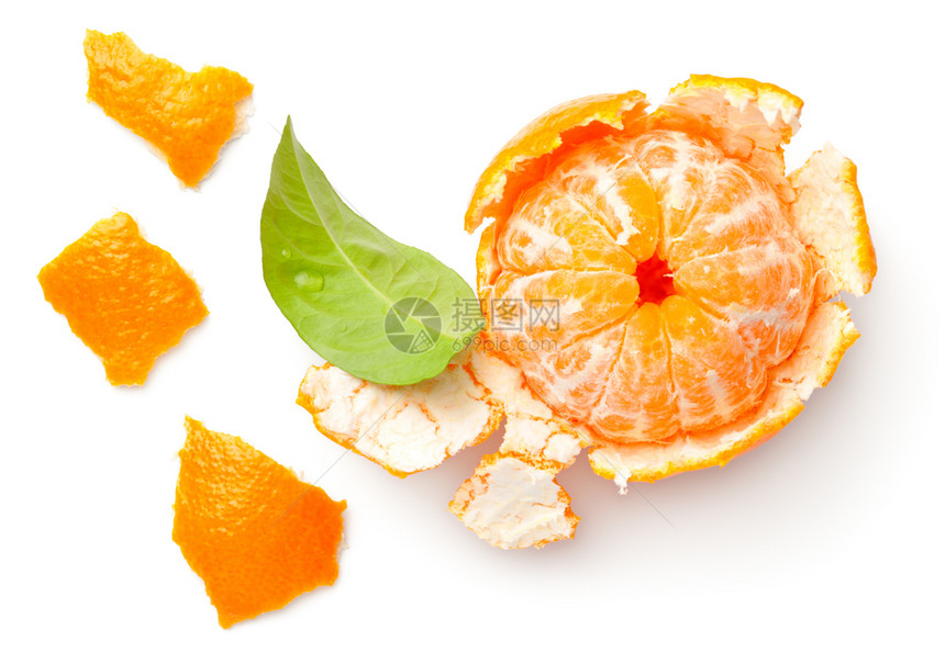 叶子白底橙橘克莱门汀扁平地顶视角上方分割自然图片