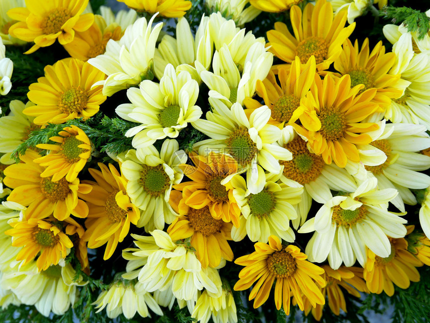 花束新鲜的浪漫黄色花安排图片