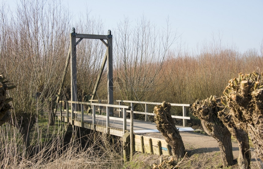 阳光天空小路使用柳树木桥和小河的霍林山自然区图片