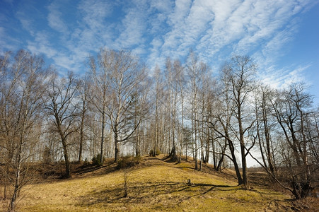 行进村庄爬坡道春天的初山上树林和天空的风景图片