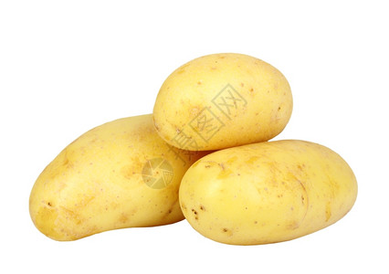 黄色的土豆图片