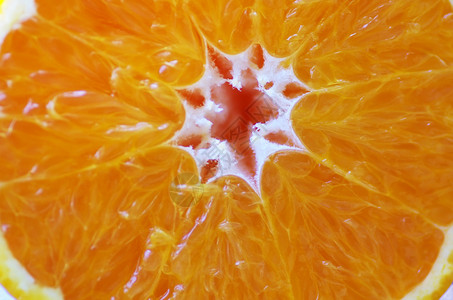 新鲜的香橼甜橙子水果宏观切片图片