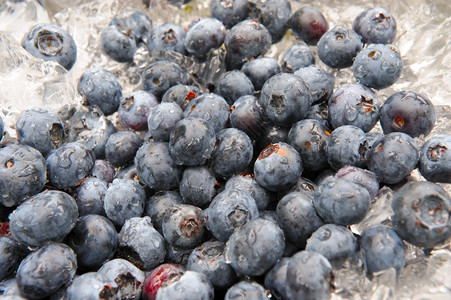 在压碎的冰上关闭新鲜采到的浆果冷却蓝莓在冰上颤抖自然什锦的食物图片