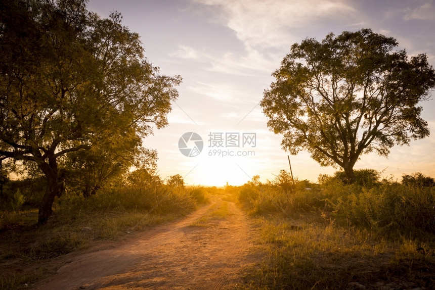 衬套大约日落光束在非洲一条公路上下方周围有树木和长草自然图片