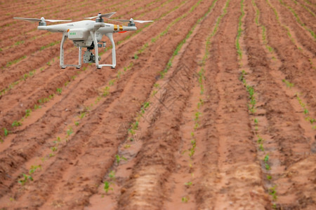 相机绿色智能农民概念无人驾驶飞机越农田技术图片