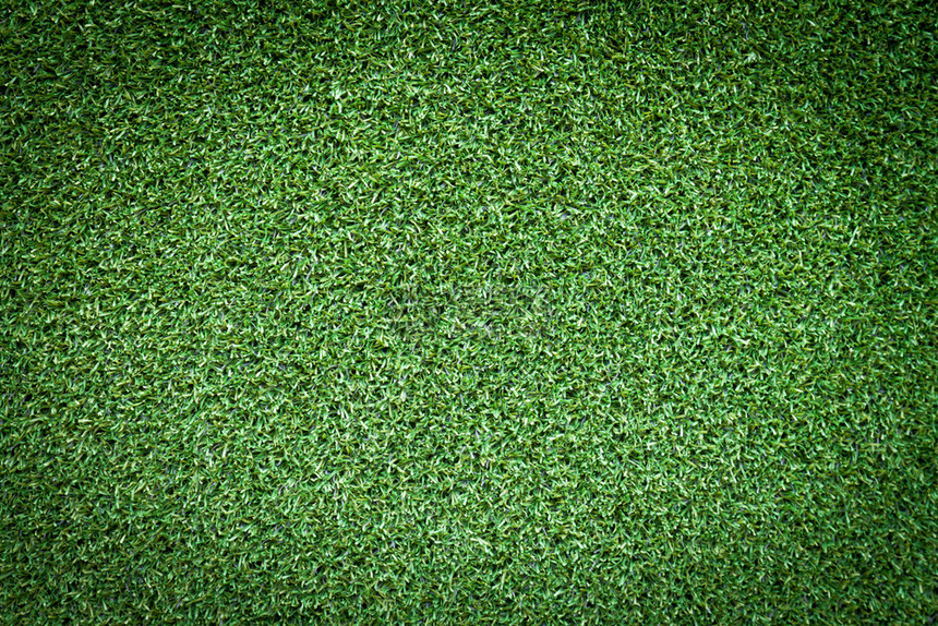 植物学新鲜的活力绿草背景图片
