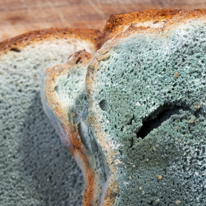 绿色和白斑的发霉面包其成芽迅速生长危险健康棕色的图片